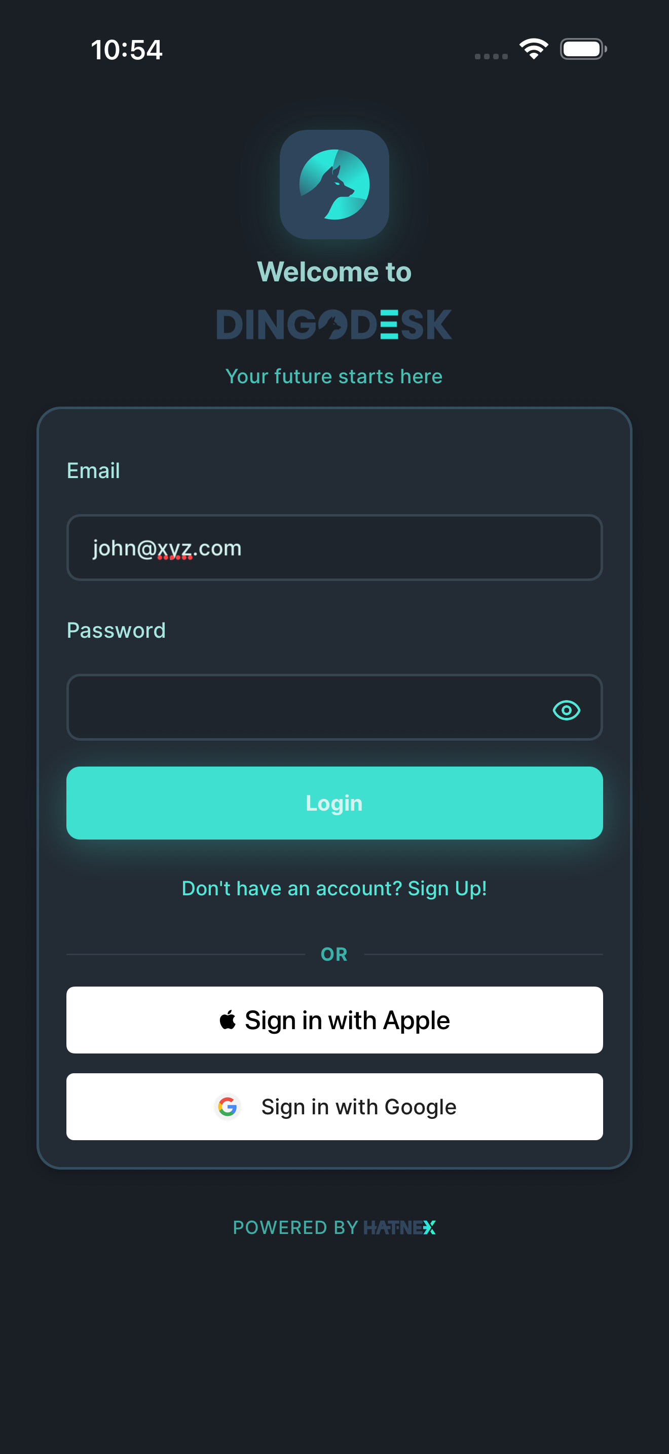 Login screen with credentials